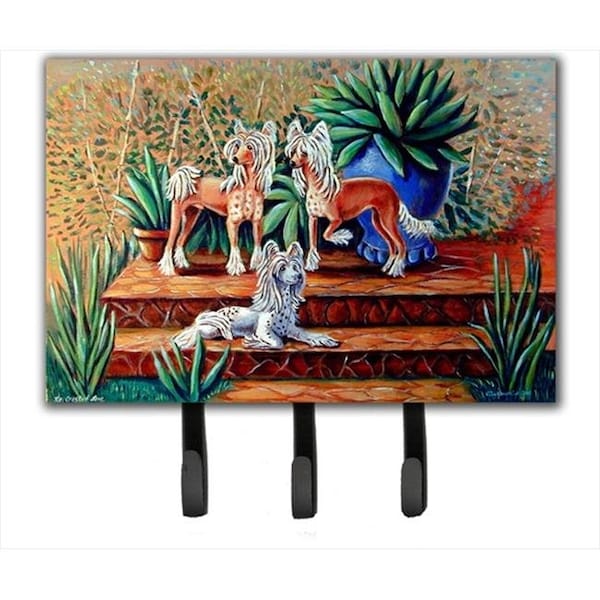 Carolines Treasures Carolines Treasures 7505TH68 Chinese Crested Leash Holder Or Key Hook 7505TH68 - main